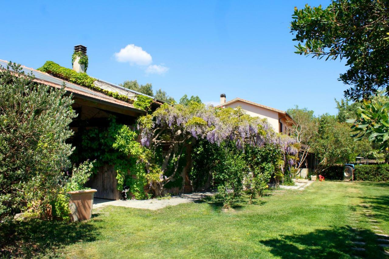 Agriturist Prile Villa Castiglione della Pescaia Exterior photo
